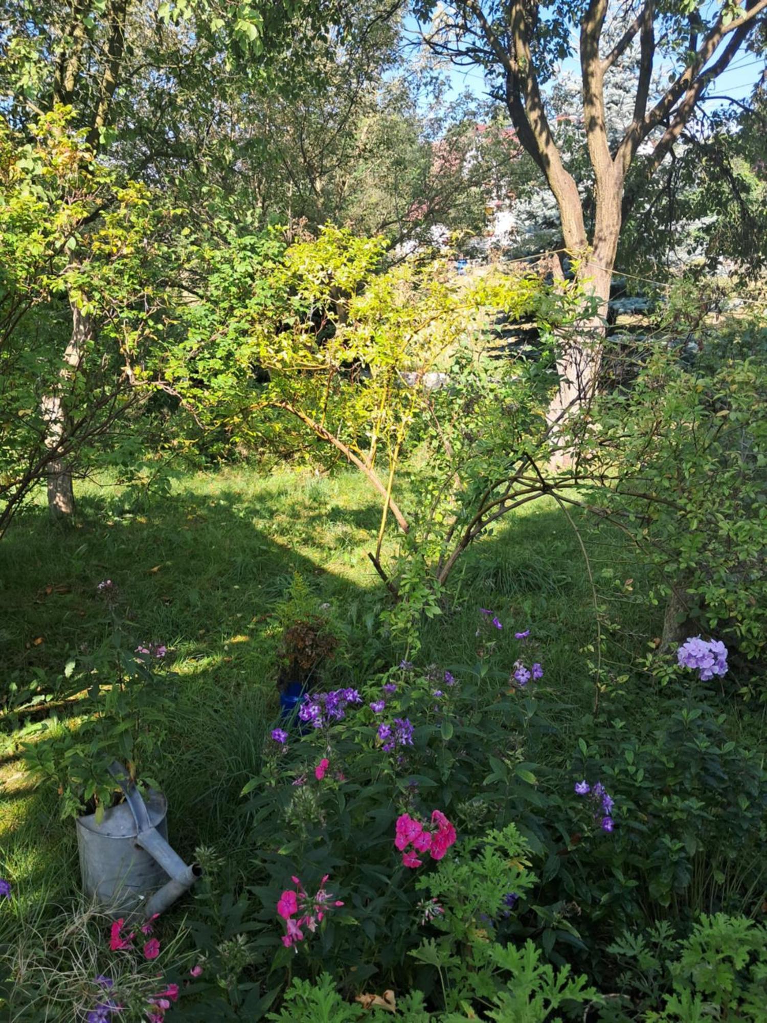 Ferienwohnung Przytulia Blekitny Kopaniec Exterior foto